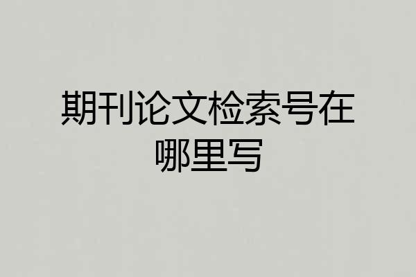 期刊论文检索号在哪里写