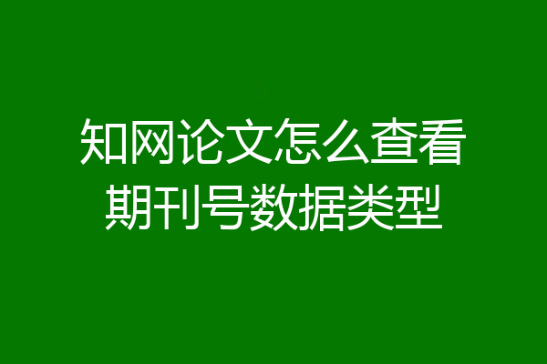 知网论文怎么查看期刊号数据类型