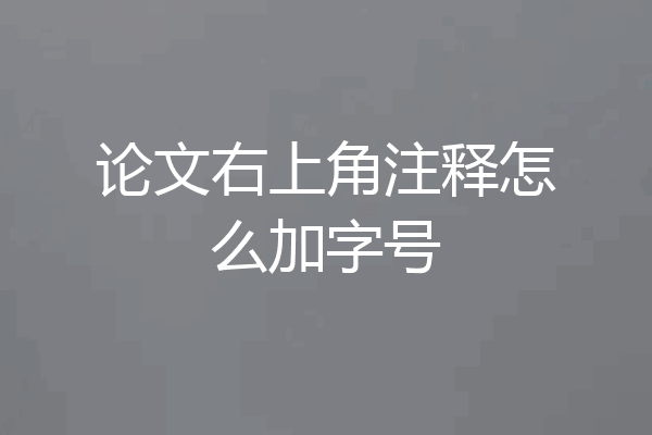 论文右上角注释怎么加字号