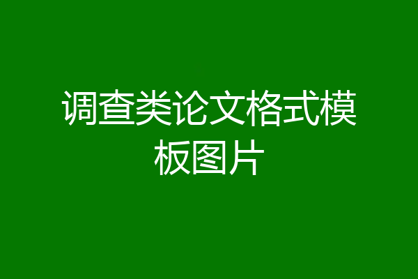 调查类论文格式模板图片
