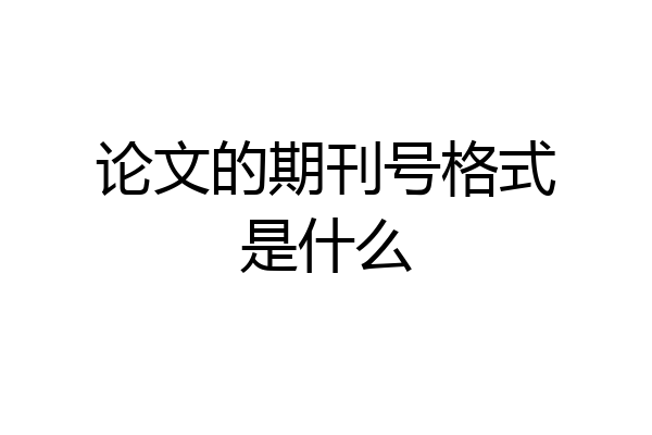 论文的期刊号格式是什么