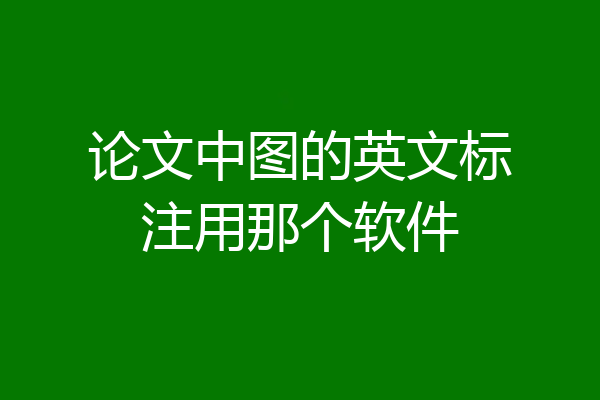 论文中图的英文标注用那个软件
