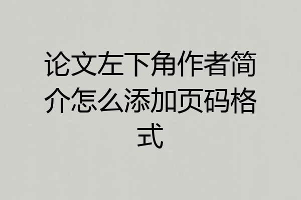 论文左下角作者简介怎么添加页码格式