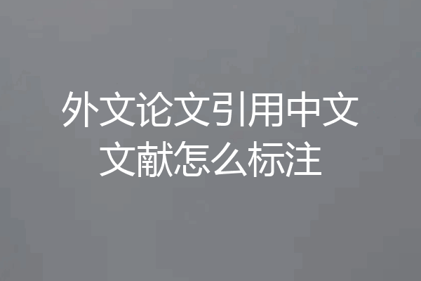 外文论文引用中文文献怎么标注