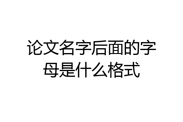 论文名字后面的字母是什么格式