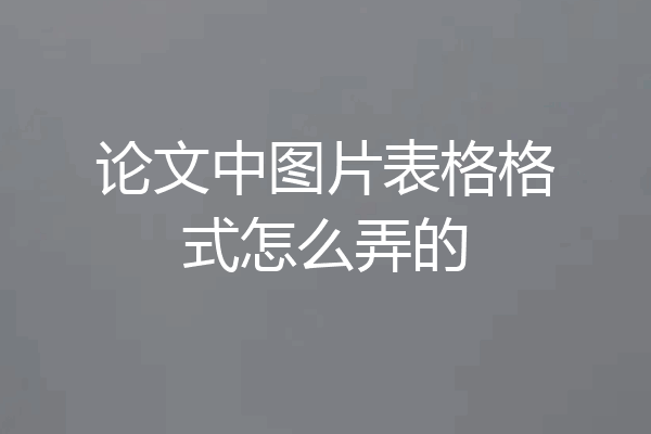 论文中图片表格格式怎么弄的