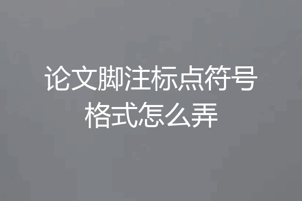 论文脚注标点符号格式怎么弄