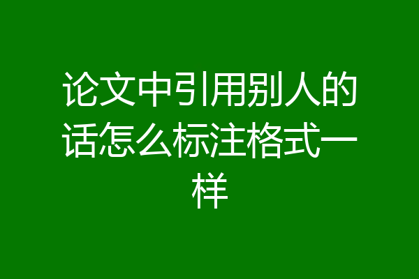 论文中引用别人的话怎么标注格式一样