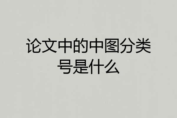 论文中的中图分类号是什么