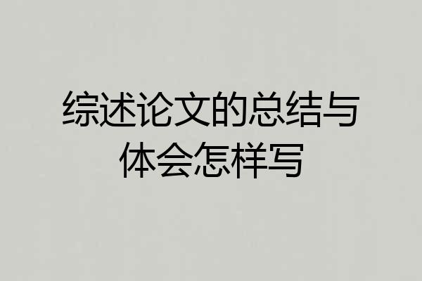 综述论文的总结与体会怎样写