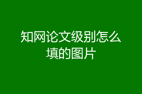 知网论文级别怎么填的图片