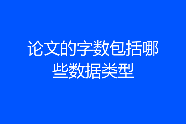 论文的字数包括哪些数据类型