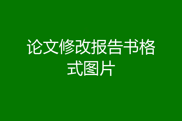 论文修改报告书格式图片