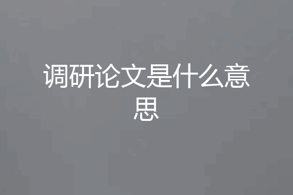 调研论文是什么意思