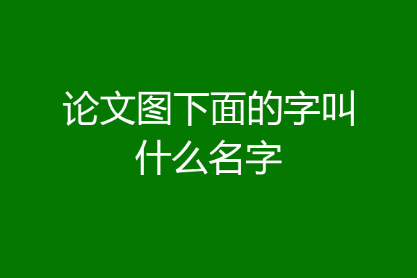 论文图下面的字叫什么名字