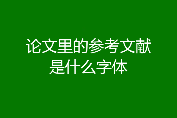论文里的参考文献是什么字体