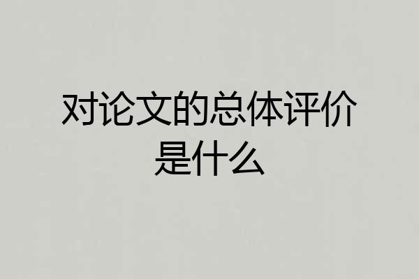 对论文的总体评价是什么