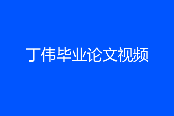 丁伟毕业论文视频
