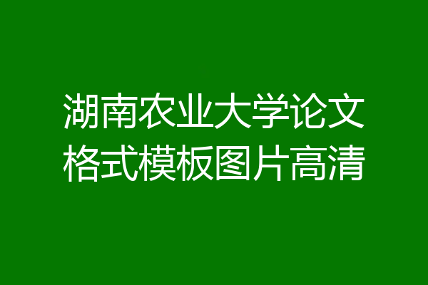 湖南农业大学论文格式模板图片高清