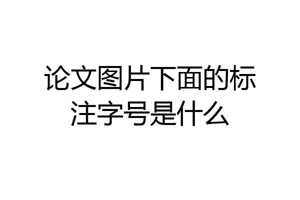 论文图片下面的标注字号是什么