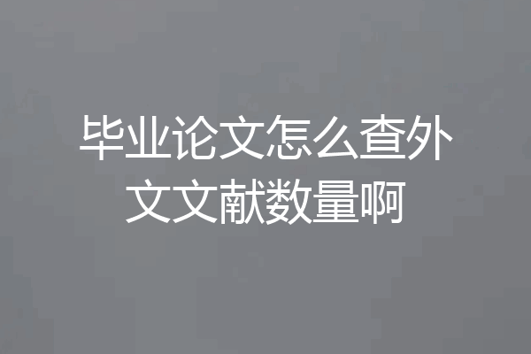毕业论文怎么查外文文献数量啊