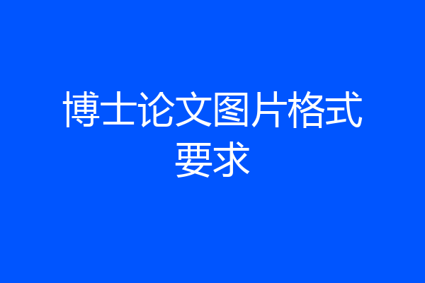 博士论文图片格式要求