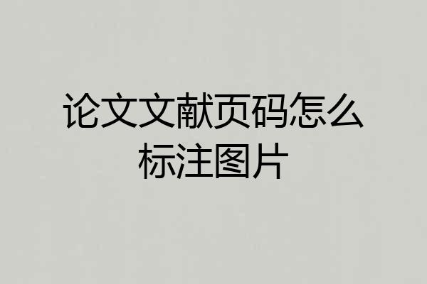 论文文献页码怎么标注图片