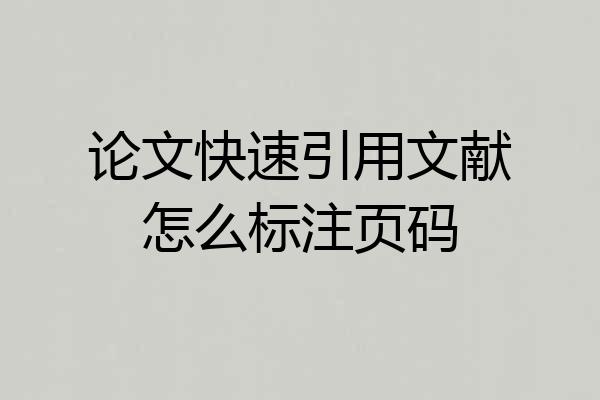 论文快速引用文献怎么标注页码
