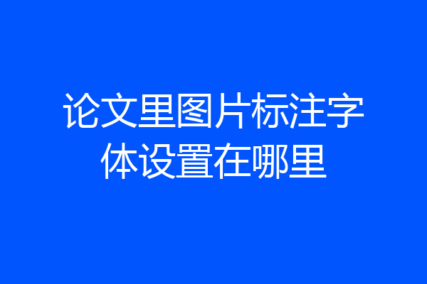 论文里图片标注字体设置在哪里