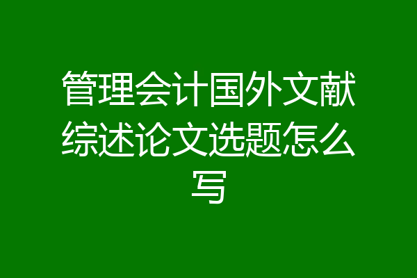 管理会计国外文献综述论文选题怎么写