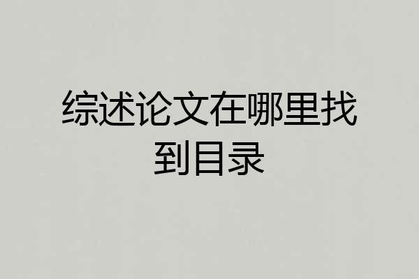 综述论文在哪里找到目录