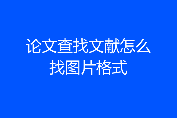 论文查找文献怎么找图片格式