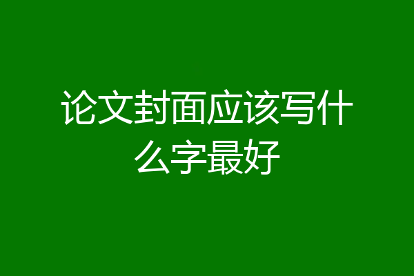 论文封面应该写什么字最好