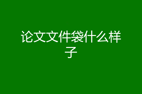 论文文件袋什么样子