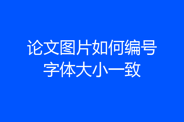 论文图片如何编号字体大小一致