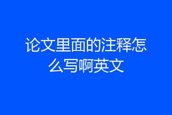 论文里面的注释怎么写啊英文