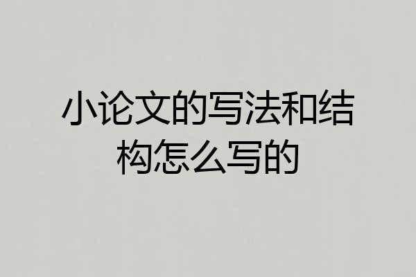 小论文的写法和结构怎么写的