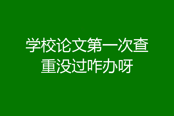 学校论文第一次查重没过咋办呀
