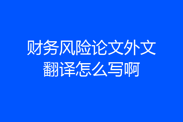 财务风险论文外文翻译怎么写啊