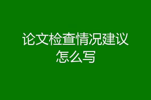 论文检查情况建议怎么写
