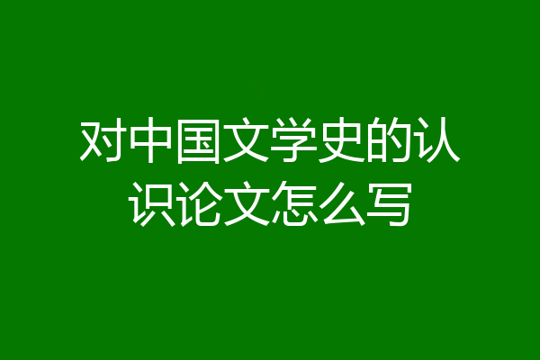 对中国文学史的认识论文怎么写