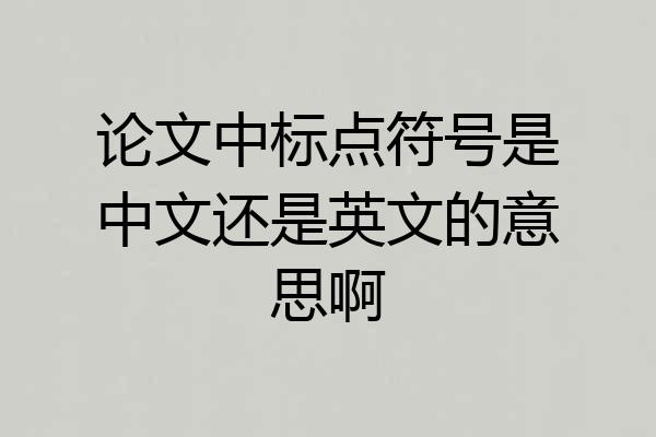 论文中标点符号是中文还是英文的意思啊