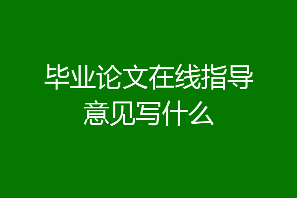 毕业论文在线指导意见写什么