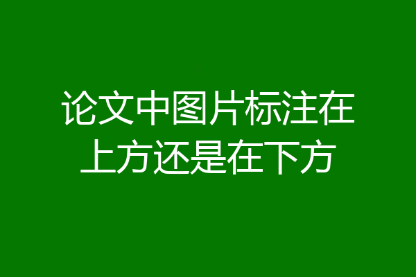 论文中图片标注在上方还是在下方