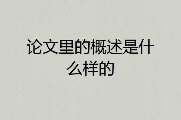 论文里的概述是什么样的