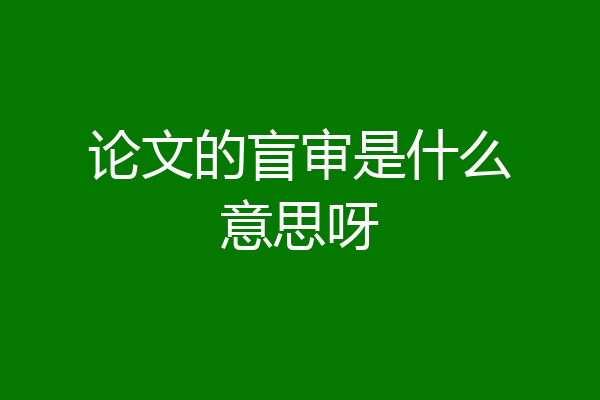 论文的盲审是什么意思呀
