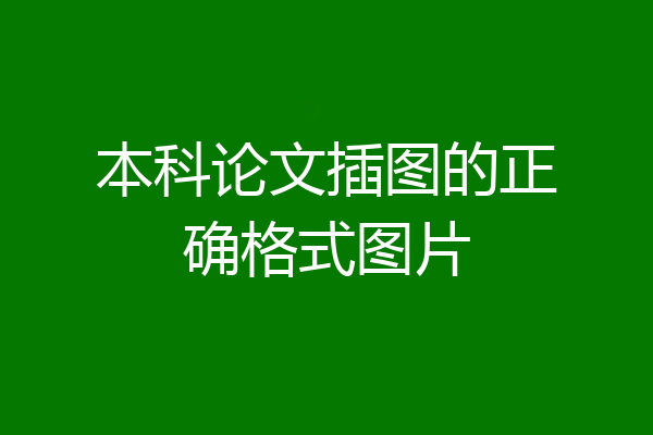 本科论文插图的正确格式图片