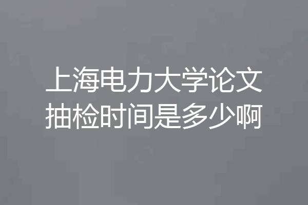 上海电力大学论文抽检时间是多少啊