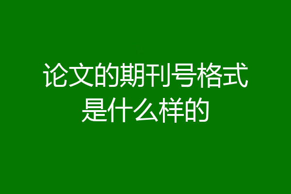 论文的期刊号格式是什么样的