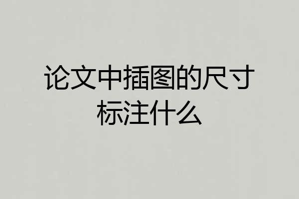论文中插图的尺寸标注什么
